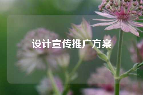 设计宣传推广方案