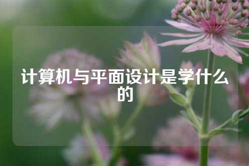 计算机与平面设计是学什么的