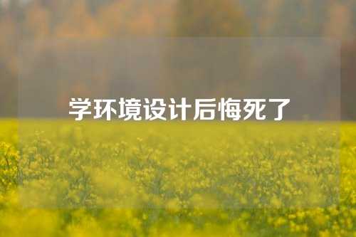 学环境设计后悔死了