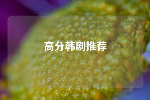 高分韩剧推荐