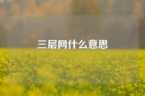 三层网什么意思