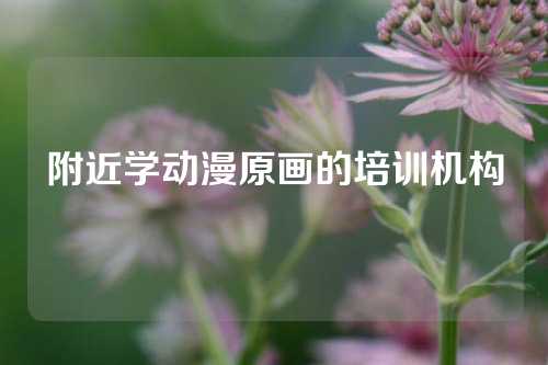 附近学动漫原画的培训机构