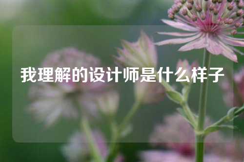 我理解的设计师是什么样子