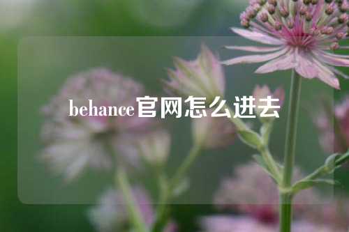 behance官网怎么进去