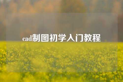 cad制图初学入门教程