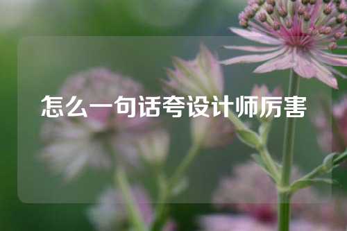 怎么一句话夸设计师厉害