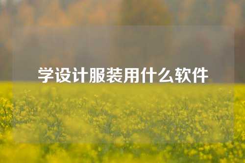 学设计服装用什么软件