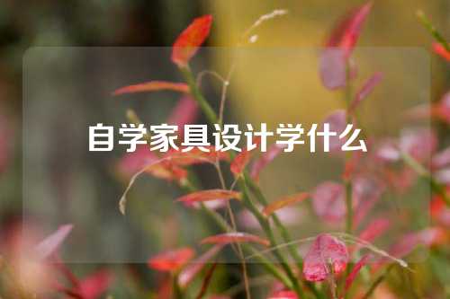 自学家具设计学什么