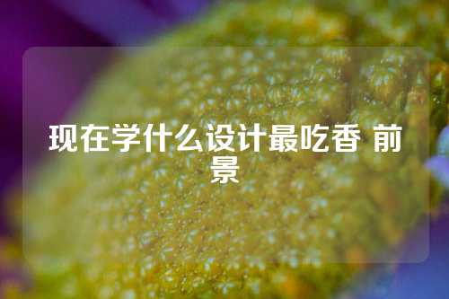 现在学什么设计最吃香 前景