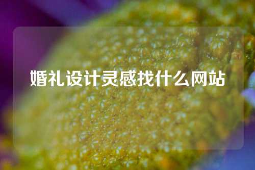 婚礼设计灵感找什么网站