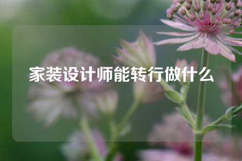 家装设计师能转行做什么