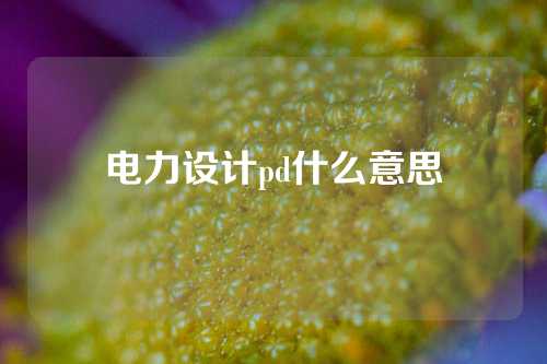 电力设计pd什么意思