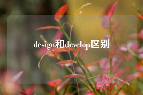 design和develop区别