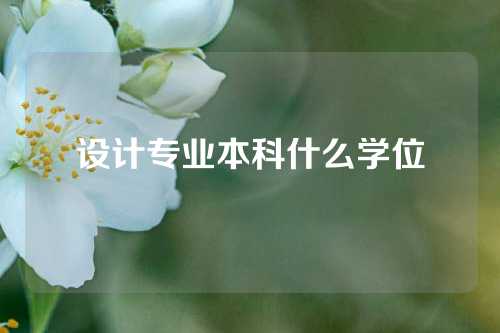 设计专业本科什么学位