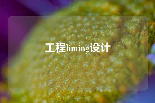 工程liming设计