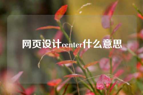 网页设计center什么意思