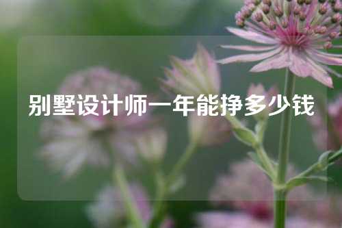 别墅设计师一年能挣多少钱