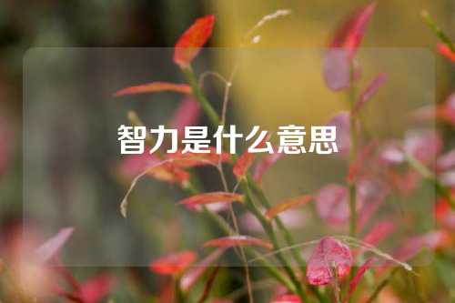 智力是什么意思