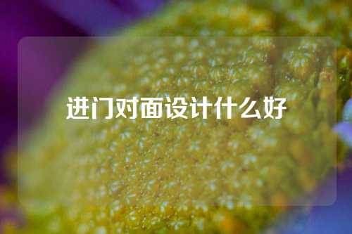 进门对面设计什么好