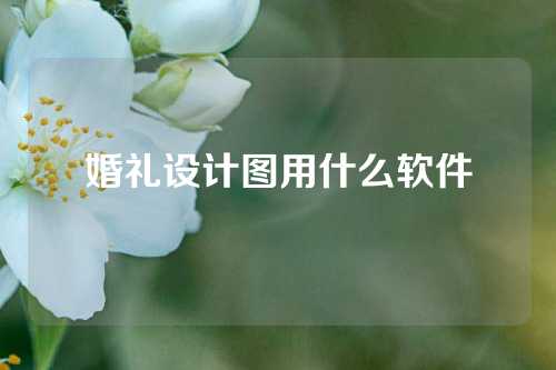 婚礼设计图用什么软件