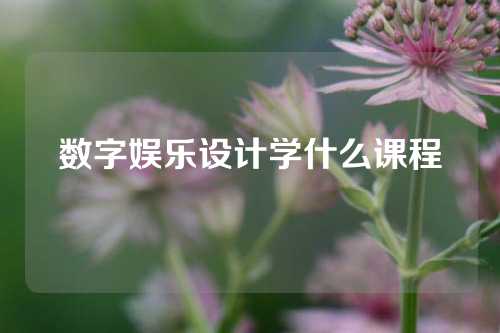 数字娱乐设计学什么课程