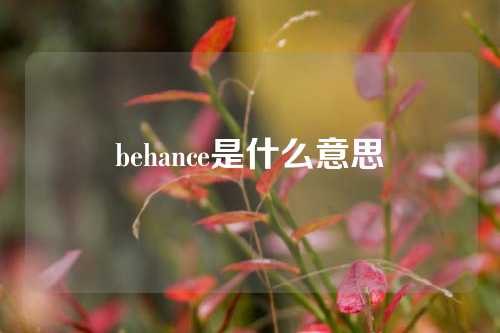 behance是什么意思