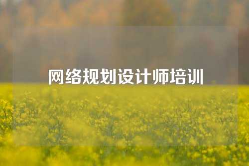 网络规划设计师培训