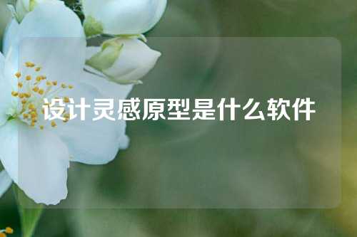 设计灵感原型是什么软件