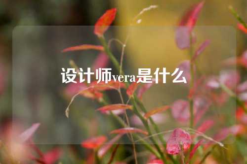 设计师vera是什么