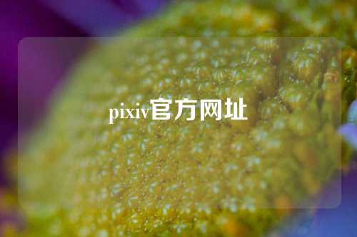 pixiv官方网址