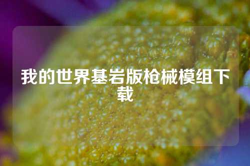 我的世界基岩版枪械模组下载