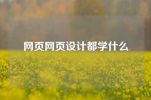 网页网页设计都学什么