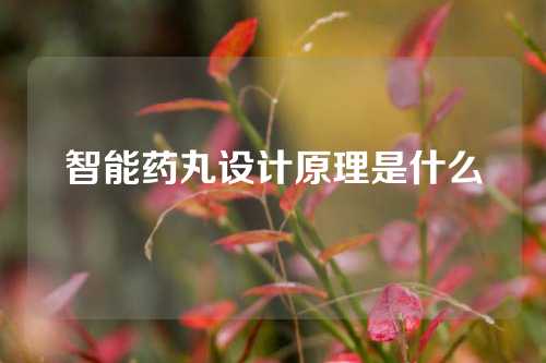 智能药丸设计原理是什么