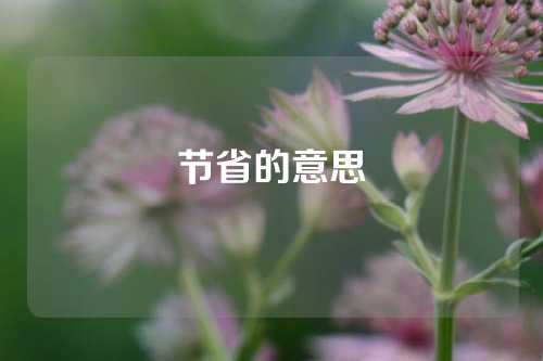 节省的意思