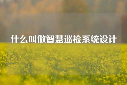 什么叫做智慧巡检系统设计