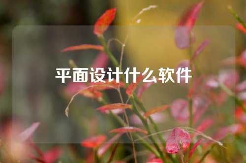 平面设计什么软件