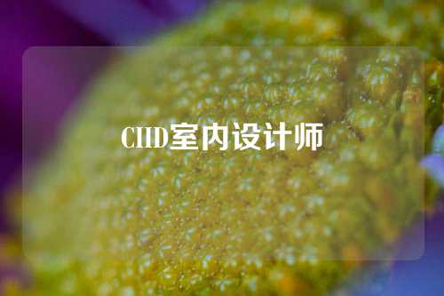 CIID室内设计师