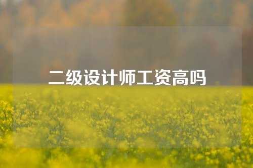 二级设计师工资高吗