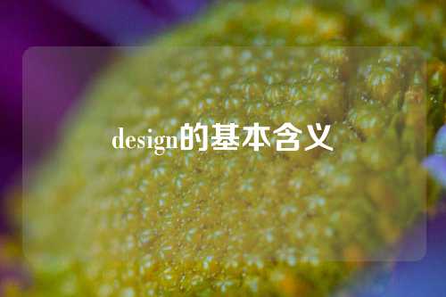 design的基本含义