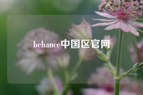 behance中国区官网