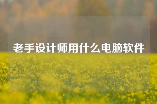 老手设计师用什么电脑软件