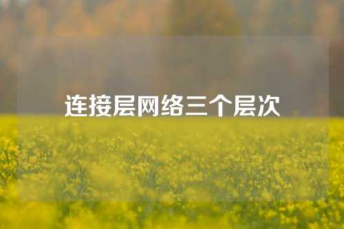 连接层网络三个层次