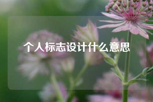 个人标志设计什么意思