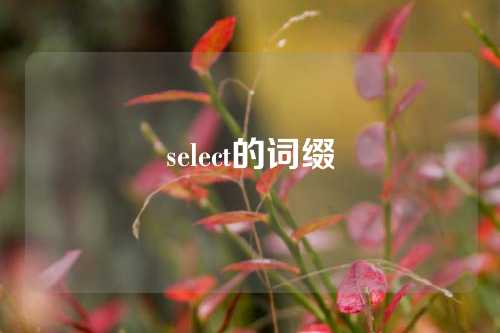 select的词缀