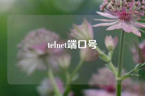 telnet端口号