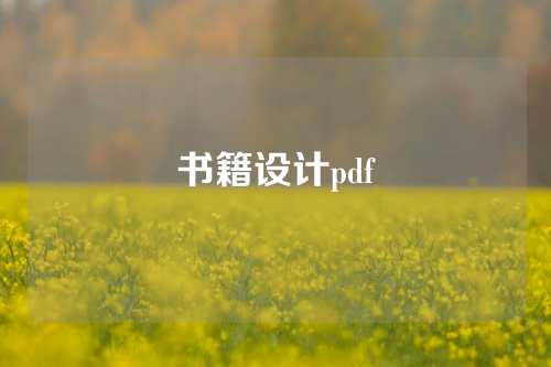 书籍设计pdf