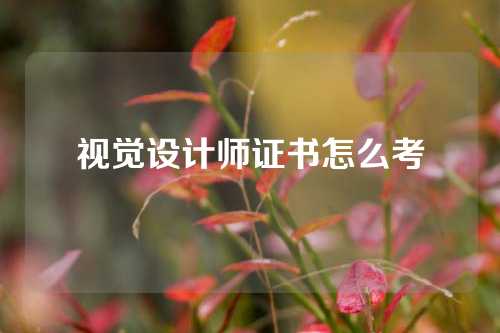 视觉设计师证书怎么考