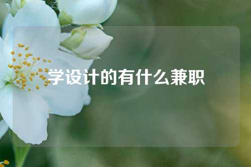 学设计的有什么兼职