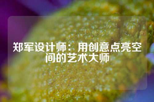 郑军设计师：用创意点亮空间的艺术大师