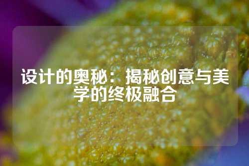 设计的奥秘：揭秘创意与美学的终极融合